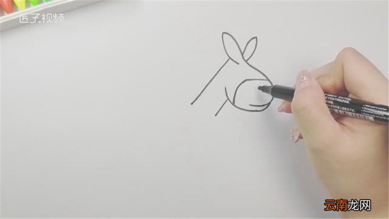 驴子简笔画
