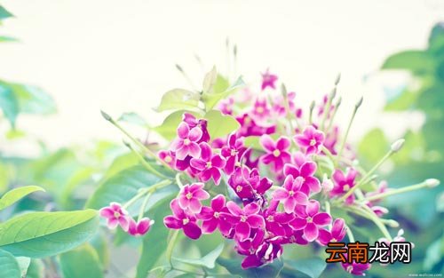 怎样学好小学数学的方法 怎样学好小学数学的方法技巧ppt