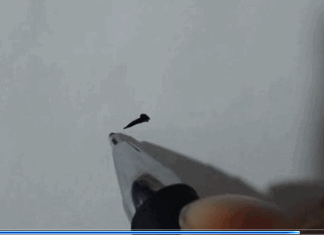 爱的繁体字怎么写？字义解析及硬笔书法写法详解