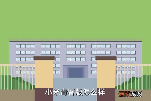 小米 青春版，小米青春版有几款价格多少配置怎样