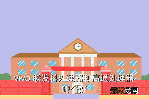 vivo什么处理器最好，vivo处理器20和15哪个好