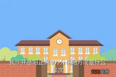 江西赣州到岳阳高铁站，长沙开岳阳正点805分岳阳方向是什么车次