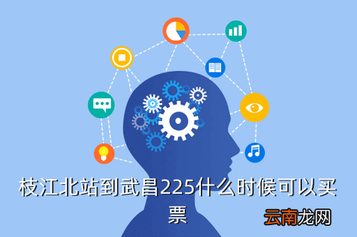 枝江北武昌的高铁，枝江北站到武昌225什么时候可以买票