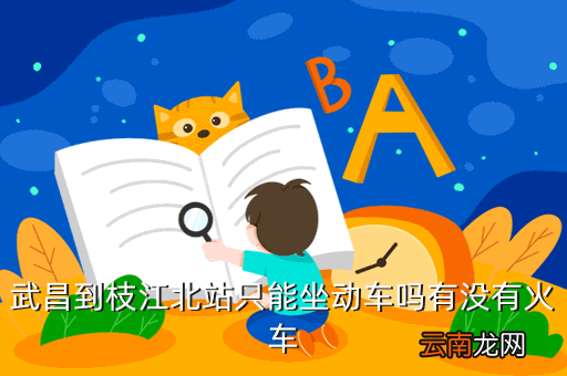 枝江北武昌的高铁，枝江北站到武昌225什么时候可以买票