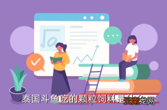 泰国钓鱼用什么鱼料，泰国斗鱼吃的颗粒饲料是什么