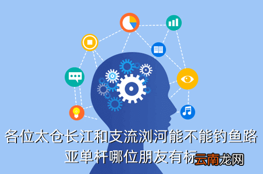 太仓长江路亚什么饵好，各位太仓长江和支流浏河能不能钓鱼路亚单杆哪位朋友有标