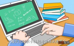 上海贝尔招聘，上海贝尔阿尔卡特和青岛朗讯选哪个