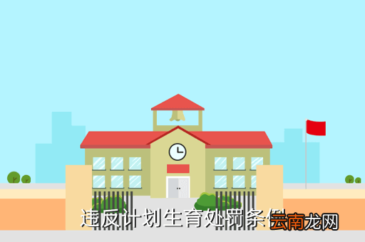 计划生育处罚条例，计划生育处罚条例