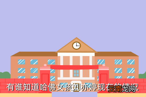 哈佛女孩刘亦婷现状，刘亦婷现在在干嘛