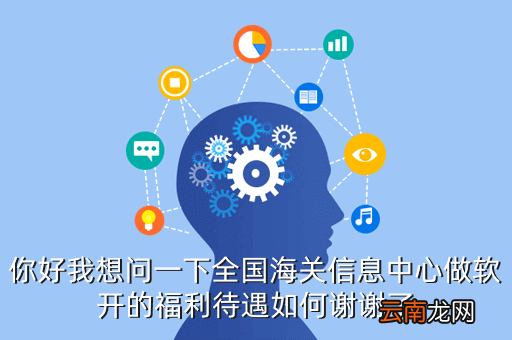 全国海关信息中心，你好我想问一下全国海关信息中心做软开的福利待遇如何谢谢了