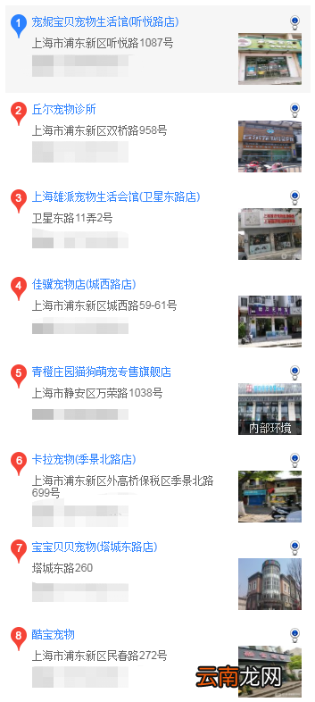 上海哪里买蝴蝶犬?