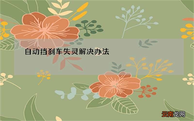 自动挡刹车失灵解决办法