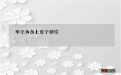 鱼身上的这个部位千万不能吃 牢记鱼身上这个部位 你们一定千万不要吃
