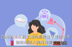 用什么看四海钓鱼，四海钓鱼在船上用的那种鱼竿是啥鱼竿能拉起很大的海鱼哪里