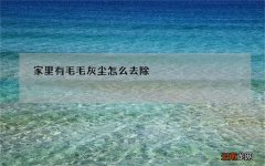 家里细毛灰尘多,怎么处理