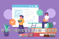 猫粮60克大概是多少，两个月小猫的饭量是多少啊一餐要喂多少啊