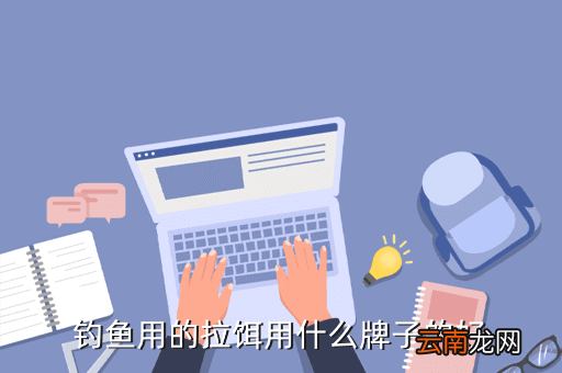 海钓鱼饵叫什么牌子好，钓海鱼用什么鱼饵最好