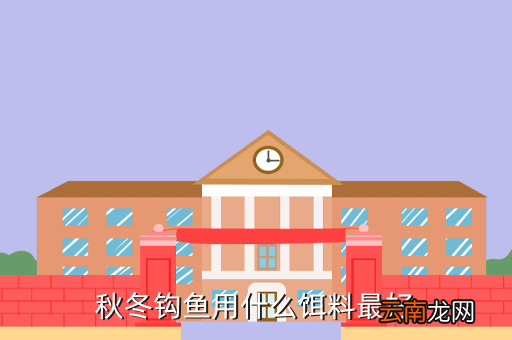 冬天钓鱼野钓用什么鱼饵，北方冬天钓鱼用什么鱼食最好使