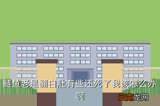 白鲢为什么翻白肚，今天钓鱼时看见一条白鲢在水里翻白肚然后又浮起来又沉下去
