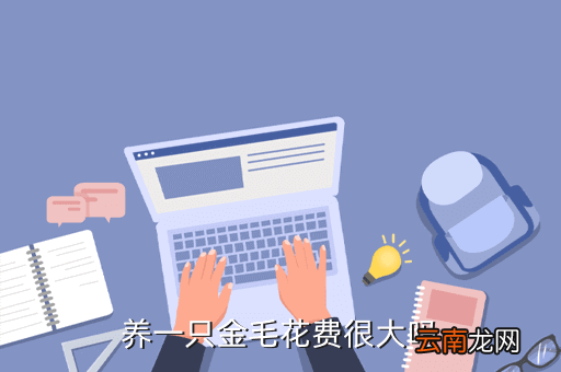 投资金毛犬舍得花多少钱，养一只金毛花费很大吗