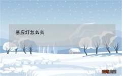感应灯怎么关