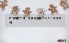 公司购置车辆，车辆购置税不计入公司成本吗?