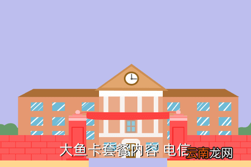 大鱼套是什么,大鱼卡套餐包含多少通话时长及流量