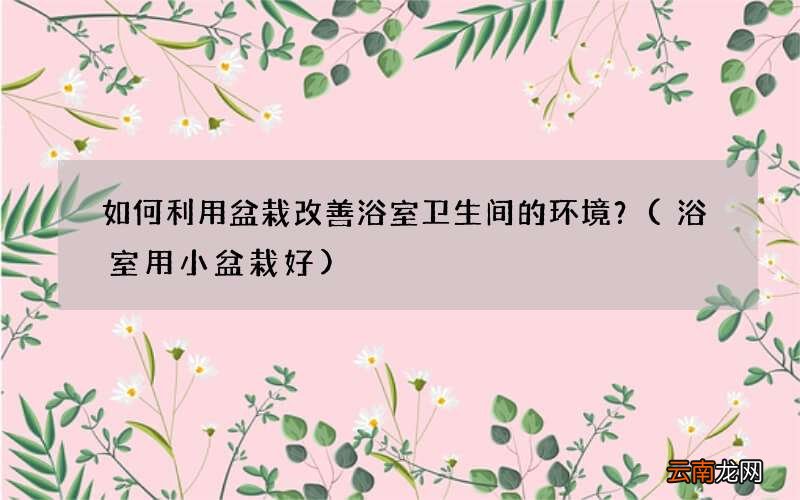 浴室用小盆栽好 如何利用盆栽改善浴室卫生间的环境？