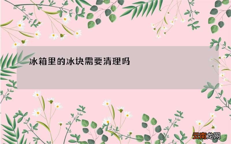 冰箱里的冰块需要清理吗
