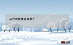 买沙发要注意什么？