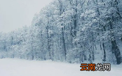 2023苏州过年还有雪吗