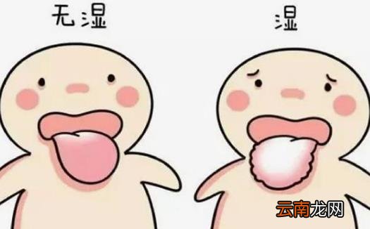 夏季会让人变丑的湿气除不完