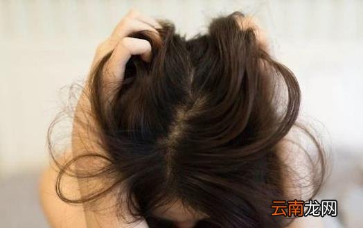 中年人的头发会掉会变白的原因