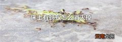 床上有蚂蚁怎么消灭掉