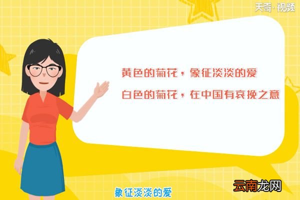 菊花代表什么象征意义 菊花象征什么