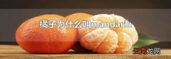 橘子为什么叫mandarin