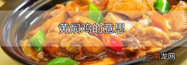 黄焖鸡的意思