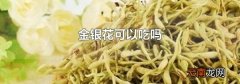 金银花可以吃吗