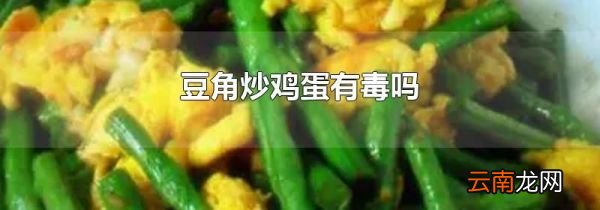 豆角炒鸡蛋有毒吗