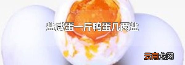 盐咸蛋一斤鸭蛋几两盐