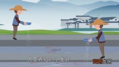 小龙虾吃什么小龙虾吃什么食物