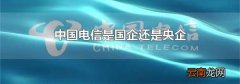 中国电信是国企还是央企