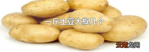 一斤土豆大概几个