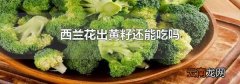 西兰花出黄籽还能吃吗