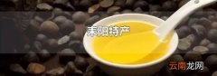 耒阳特产