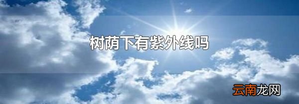 树荫下有紫外线吗