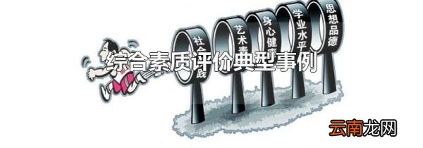 综合素质评价典型事例
