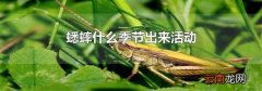 蟋蟀什么季节出来活动