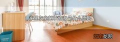 家里灰尘絮状物多是什么原因