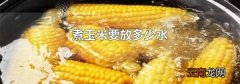 煮玉米要放多少水